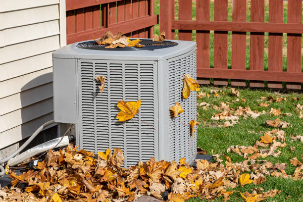 Best HVAC air duct cleaning  in Waawa, HI